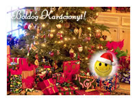 A fnykpes ajndk (tnyraltt - minta) nagytshoz kattintson IDE!