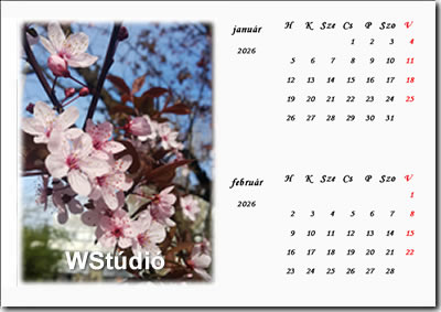 7 lapos asztali naptár - minta! ( Január - Február )