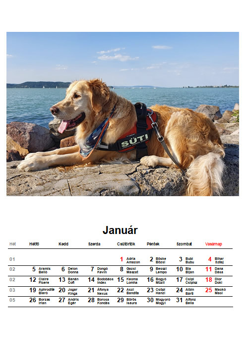 Kutyanv naptr az n kutyjnak fotival. Nagytshoz kattintson a kpre!